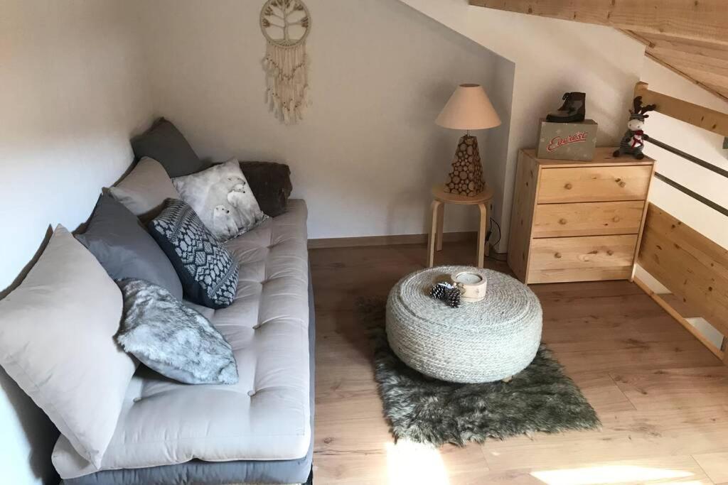 Magnifique Appartement A La Joue Du Loup Saint-Étienne-en-Dévoluy エクステリア 写真